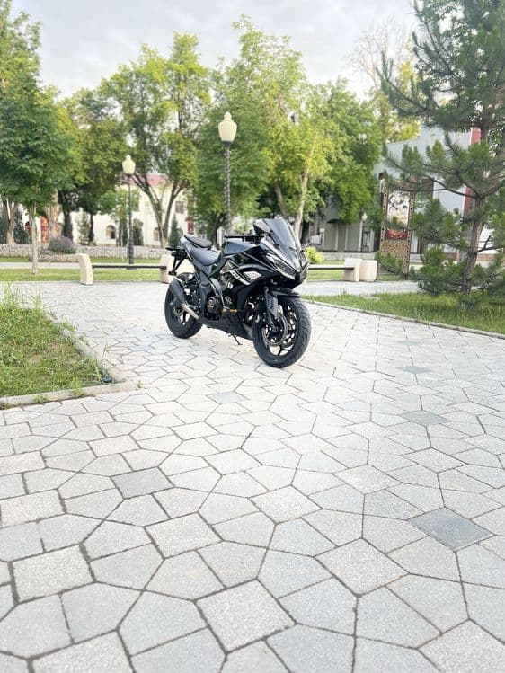 Cavalo Bandao R1 250cc — 1