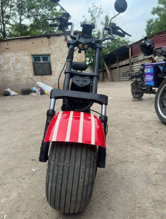 Amerikanka siti coco — 2