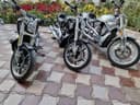 Harley-davidson night rod