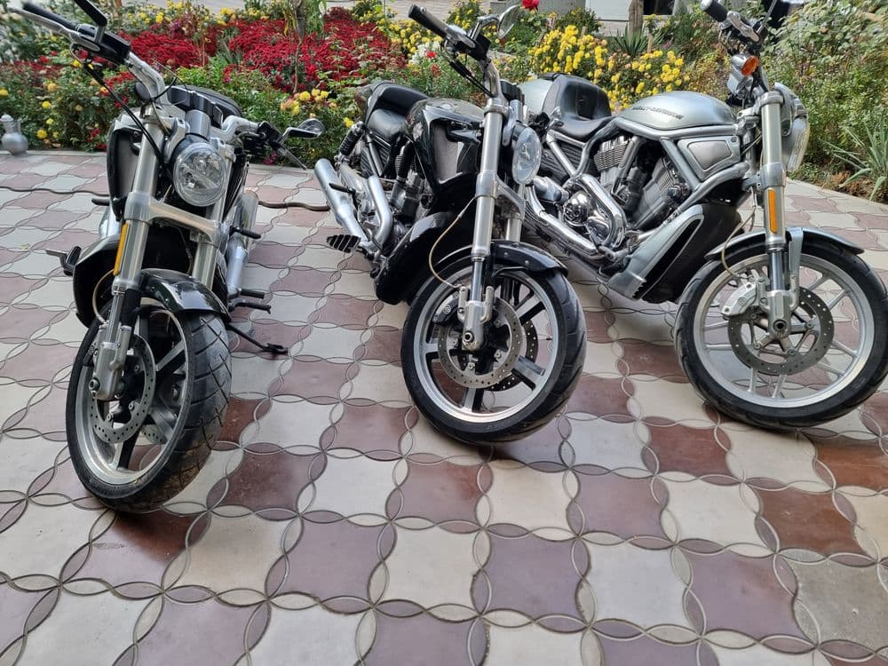 Harley-davidson night rod — 1