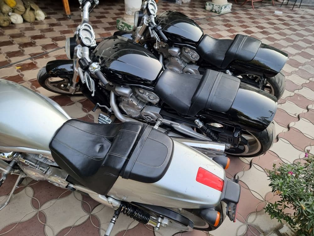 Harley-davidson night rod — 2