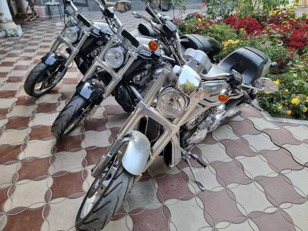 Harley-davidson night rod — 3
