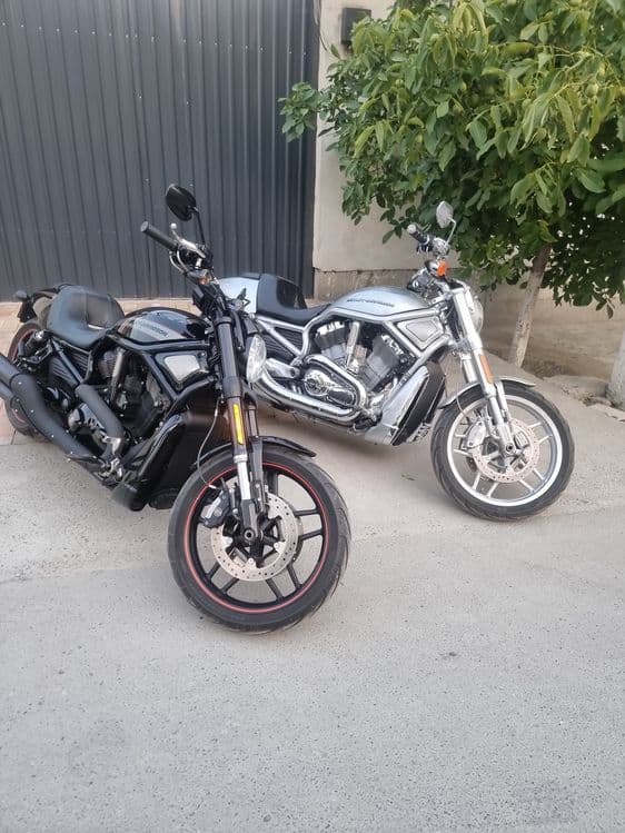 Harley-davidson night rod — 4