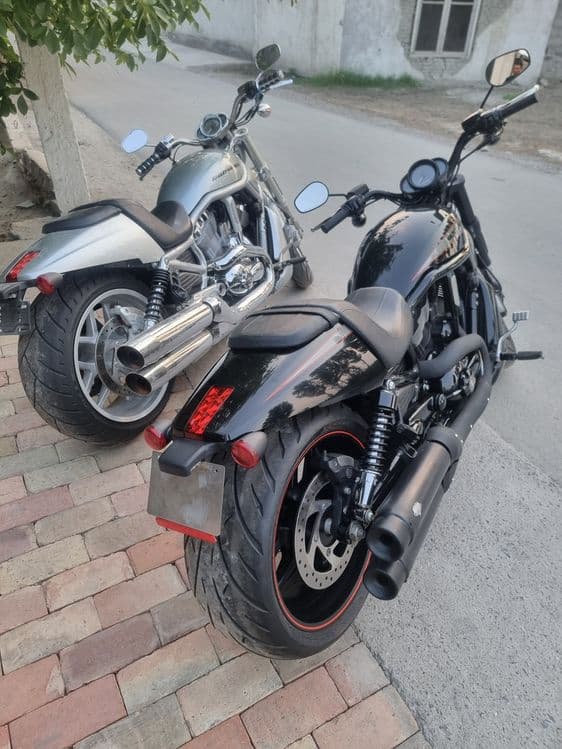 Harley-davidson night rod — 5