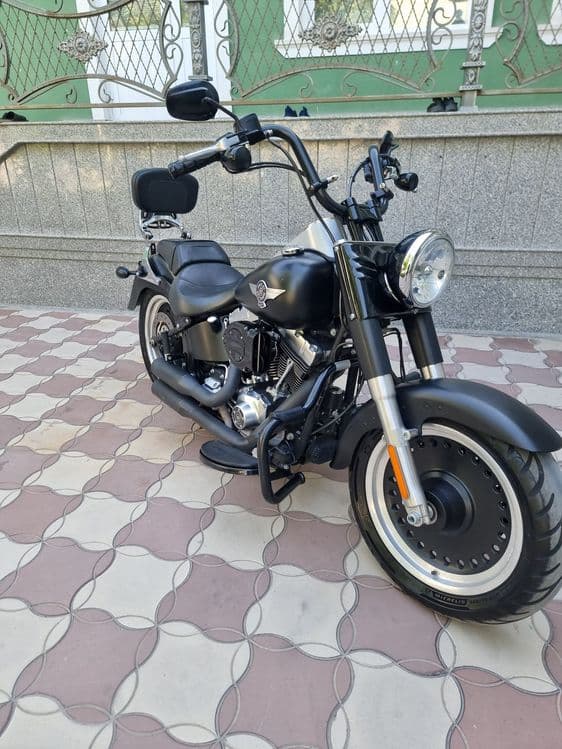 Harley-davidson Fatboy 2014 — 6
