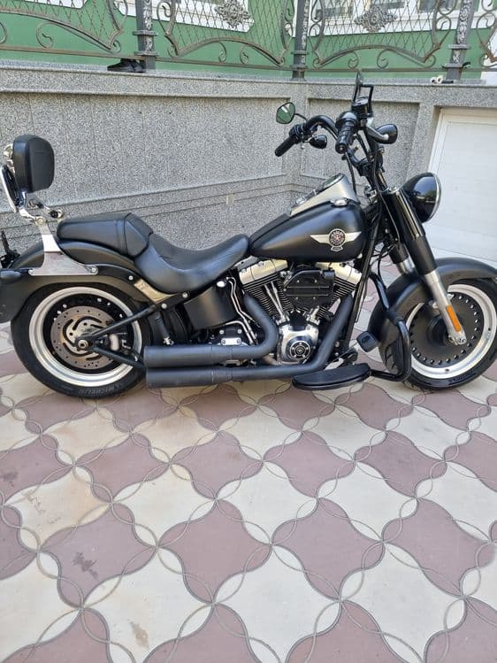 Harley-davidson Fatboy 2014 — 7