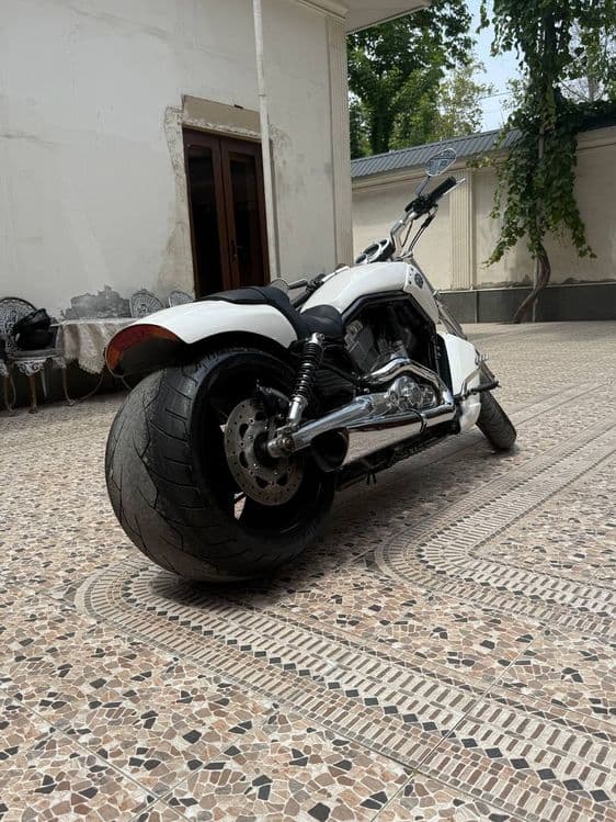 Harley-davidson sotiladi — 1