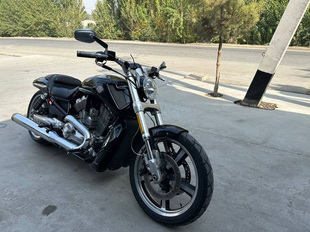 Harley-davidson v rod sotiladi — 1