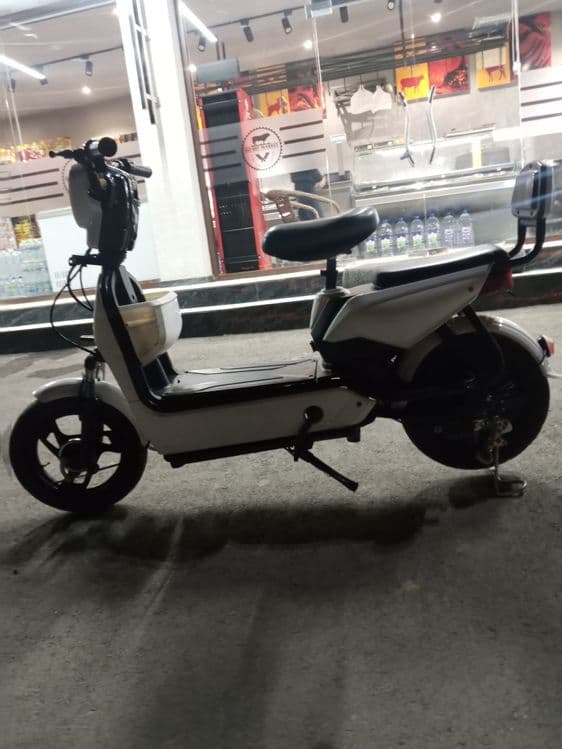 Yahshi oq skutr25cm — 5