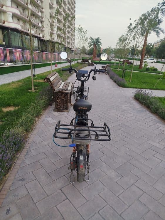Monstr drongo sukuter — 1