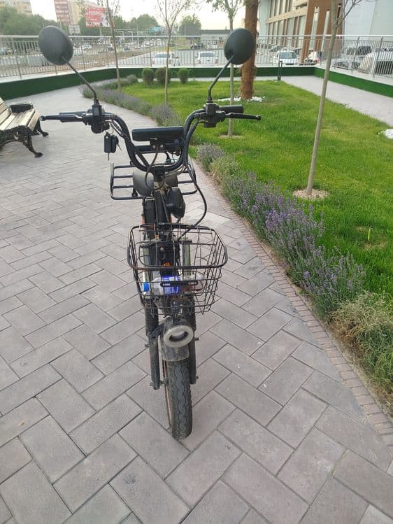 Monstr drongo sukuter — 3