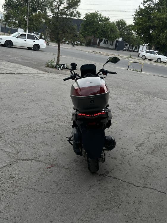 Gst tiger sotiladi — 3