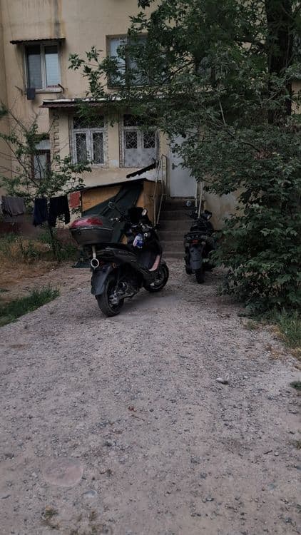 Gst teagher skuter — 5