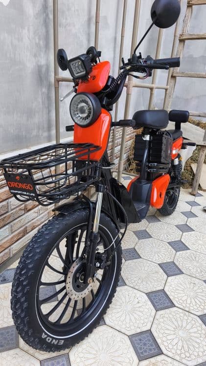 Drongo electric bike