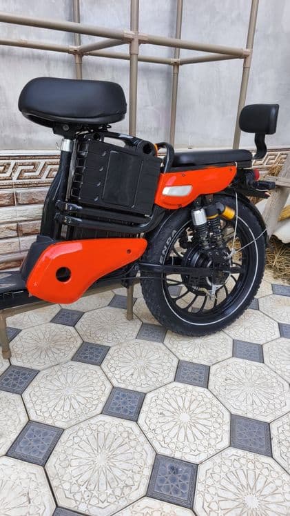 Drongo electric bike — 3