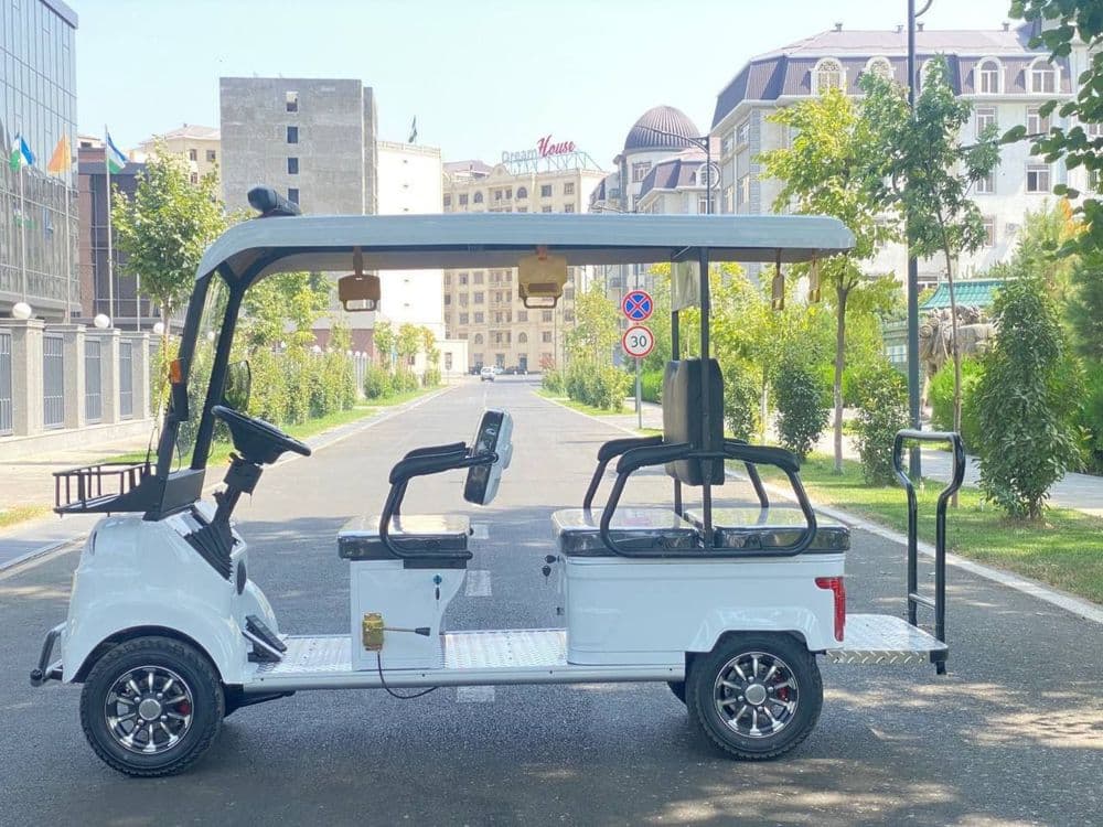 Skutr  Golf kar — 2