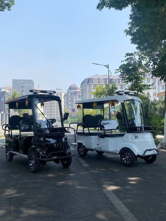 Skutr  Golf kar — 3