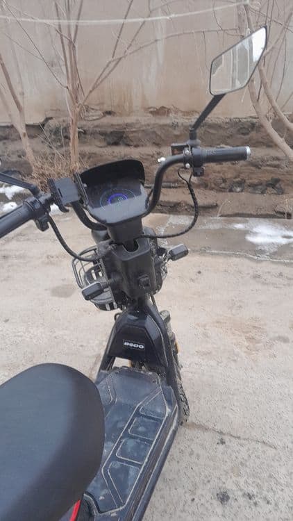 Yangi va arzon squter — 2