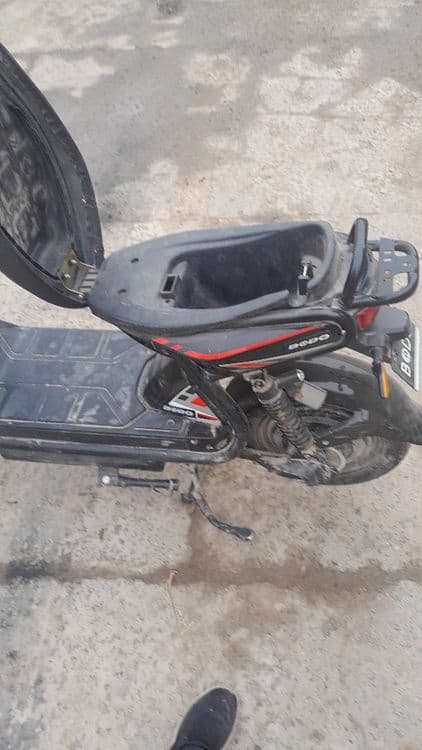 Yangi va arzon squter — 4