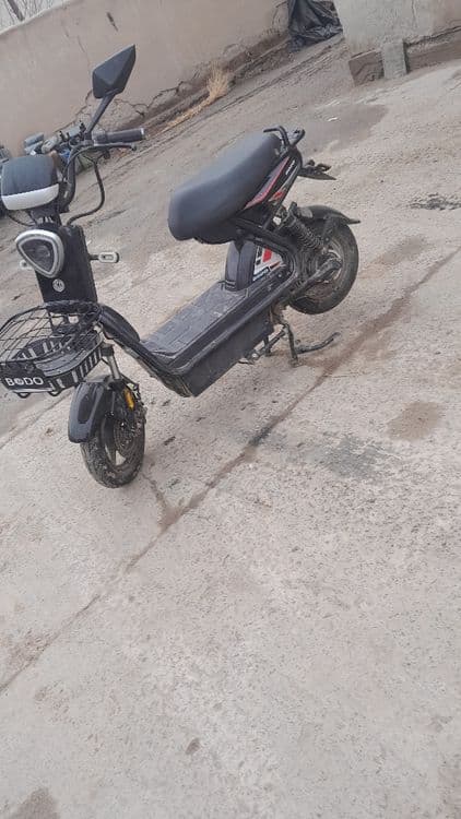 Yangi va arzon squter — 7