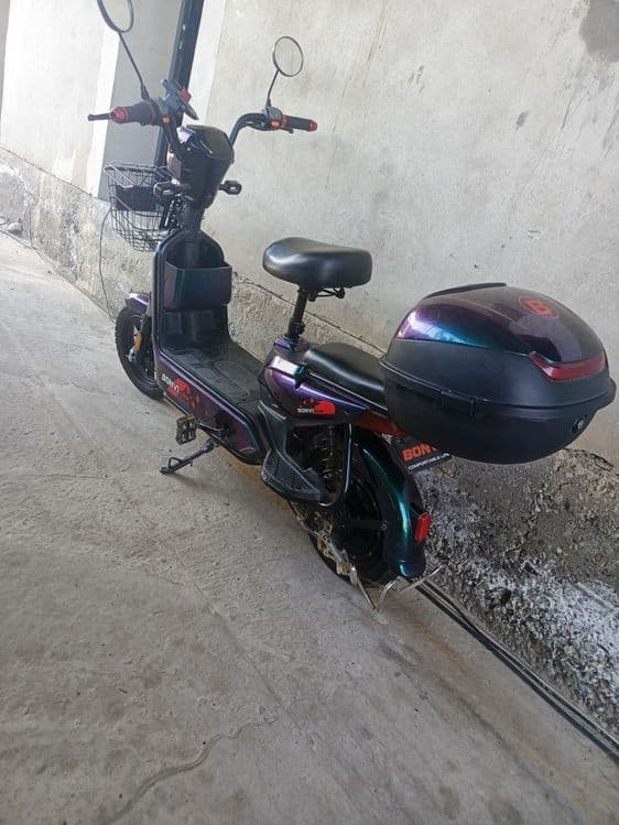 chontak 14 madeli — 2