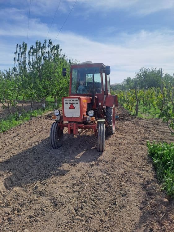 Traktor  T 25 sotiladi — 3