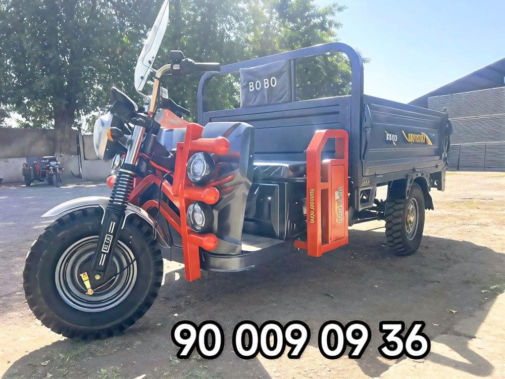 Муравей Самасвалли/Матарол/ Muravey Samasvalli /Motoroller/Matoroller — 4