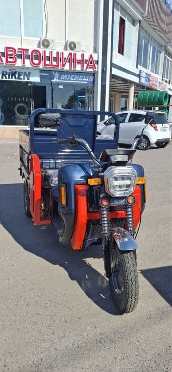 Muravey 800kg 60w — 1