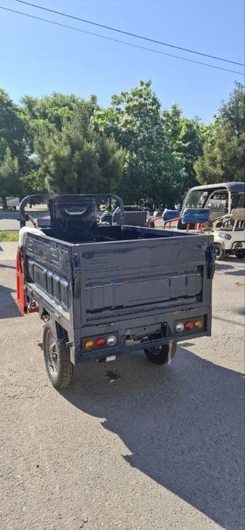 Muravey 800kg 60w — 2