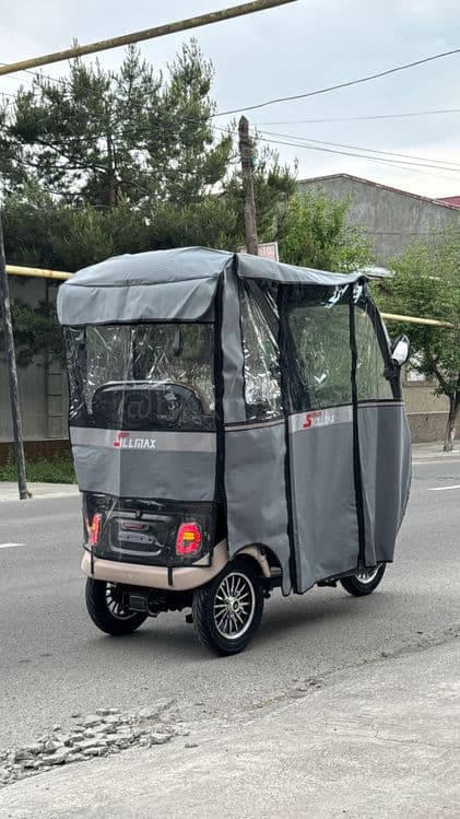 Пассажирский трицикл рикша Skillmax X8 — для взрослых и пожилых — 7