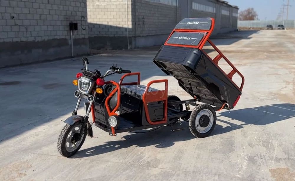 Грузовой трицикл Муравей Skillmax 1000Вт до 300кг аккумулятор 60V — 4