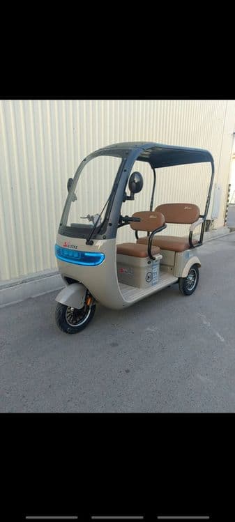 Tritsikl muravey 500$ dan boshlab 1300$ — 1