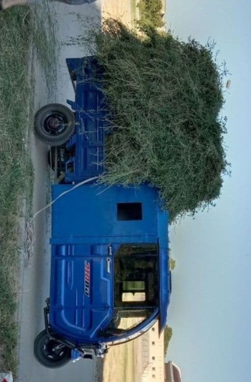 Elekro muravey Genirator — 5