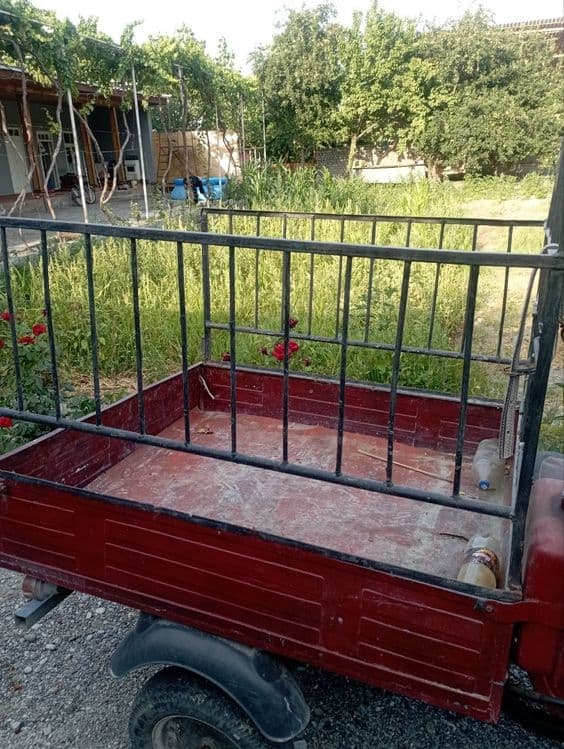 Муравей..  Матаролер... — 2
