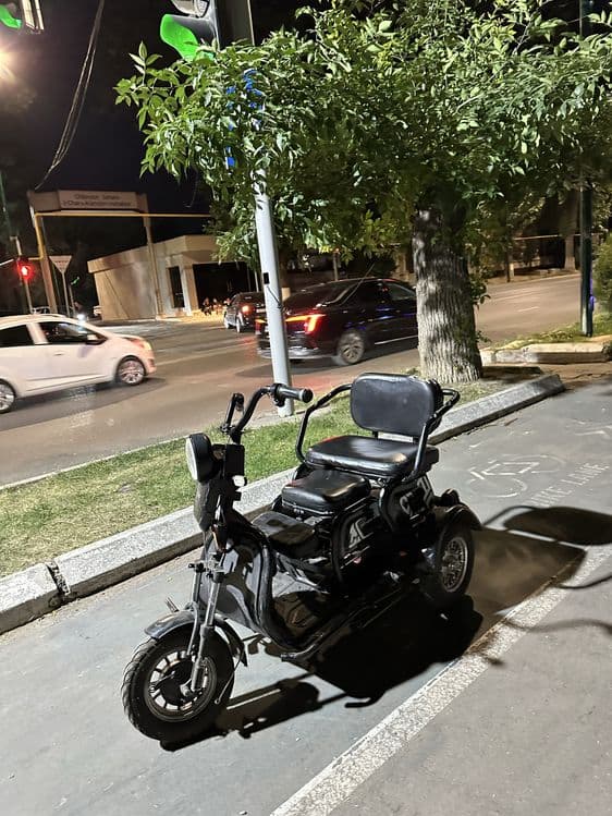 3 g‘ildirakli elektr transport vositasi — 2