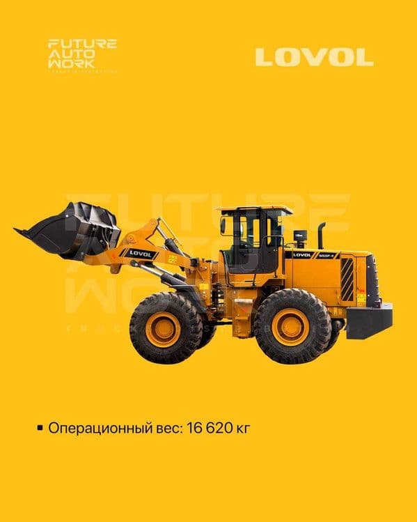 LOVOL FL955F-II markali frontal pogruzchik — 3