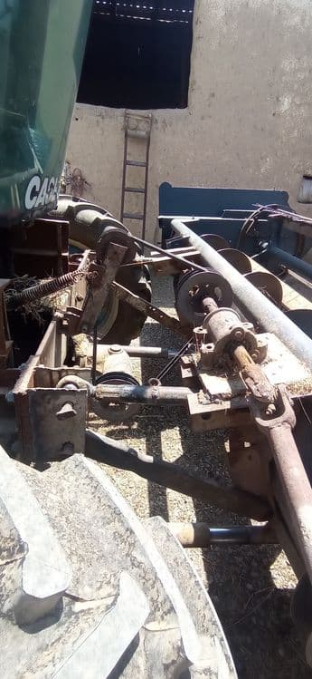 Belarusga terilgan 303 jatka — 4