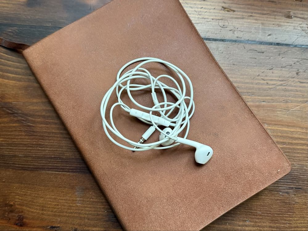 Apple EarPods оригинал — 4