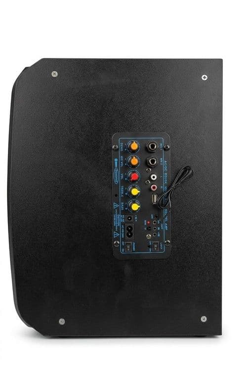 Мощная колонка Bohong D200K (Караоке, Bluetooth) / 220V и 12V — 4