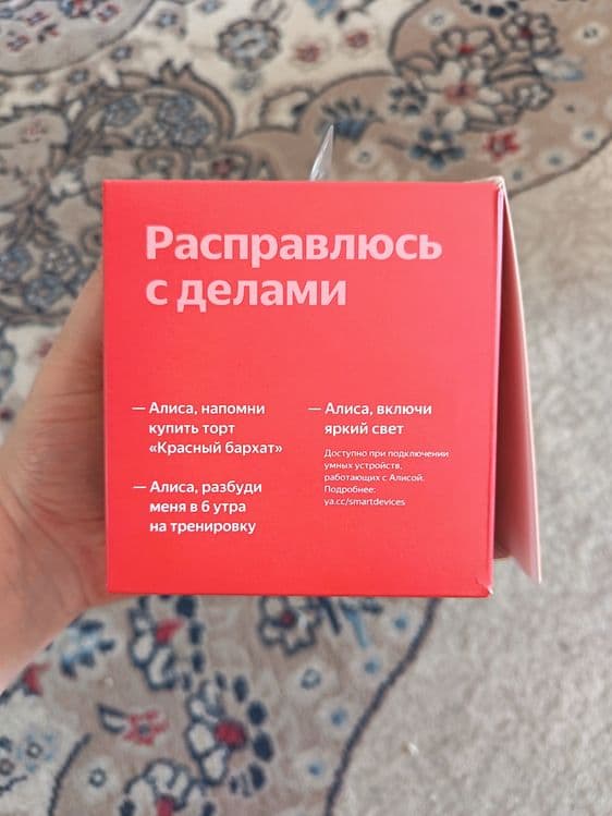 Колонка с Алисой — 1