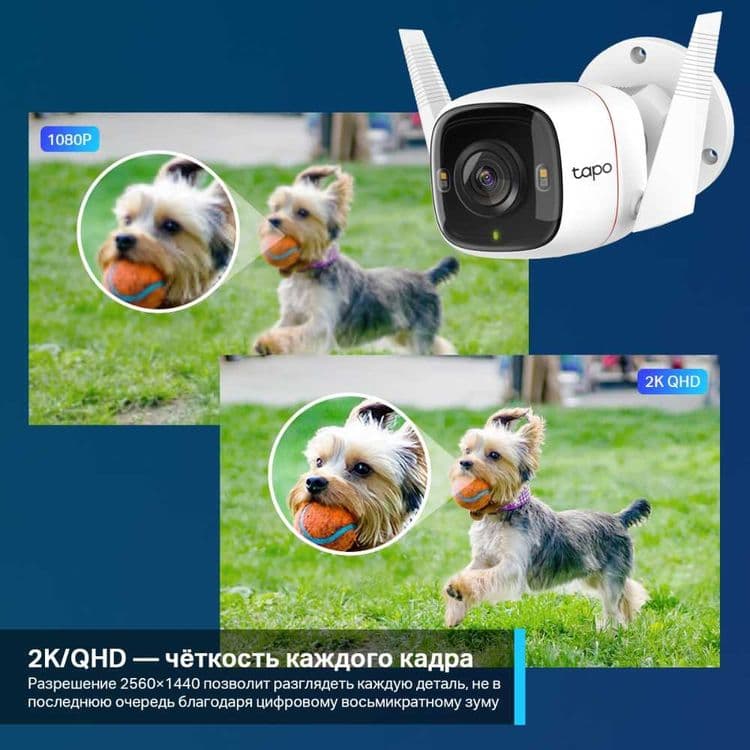 TP-Link TAPO C120/ C410 OutdoorWi-Fi Camera Уличная умная камера*-* — 3
