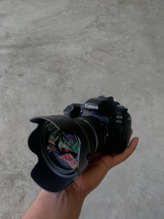Canon 80D. ronin s — 2