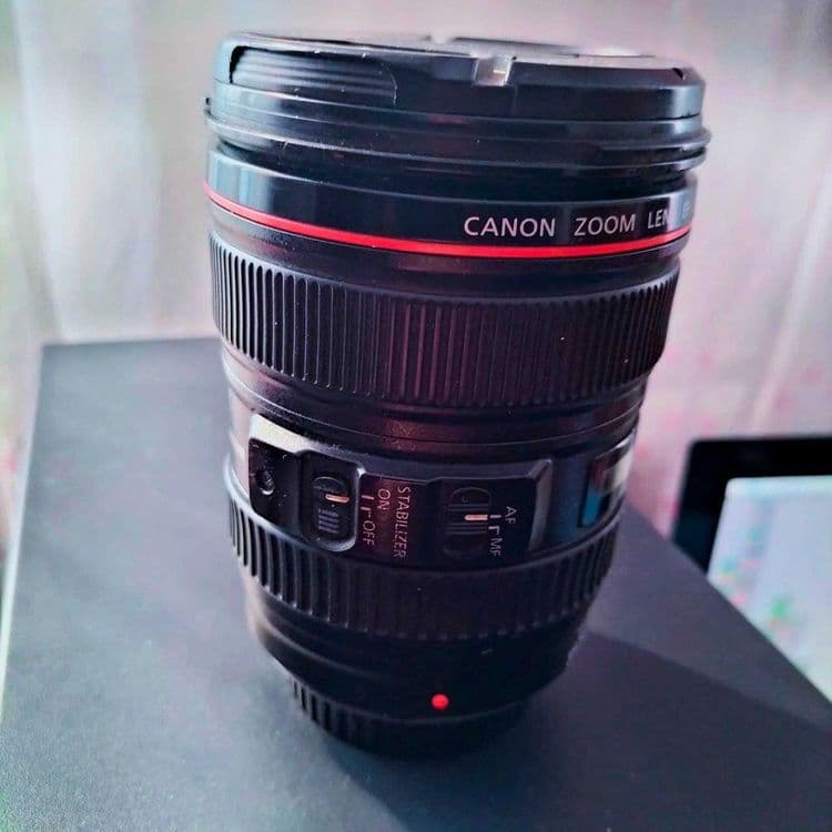 Canon 24-105 EF L series — 2