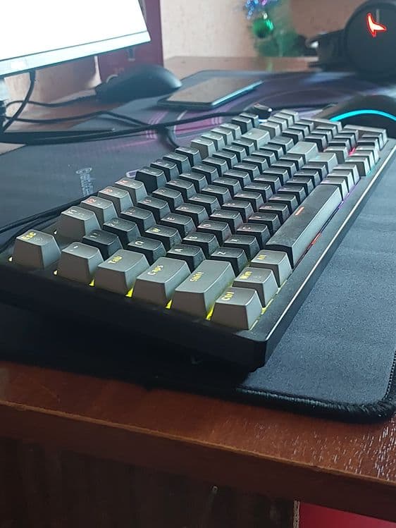 Klava mishka igravoy taza jagdayda — 9