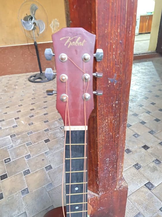 Gitara zapchastga — 2