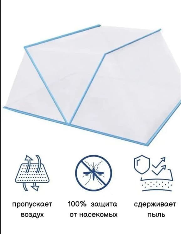 Pashshaxona, kvadrat pashshaxona,yozgi pashshaxonalar — 2