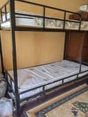 2 каватли крават