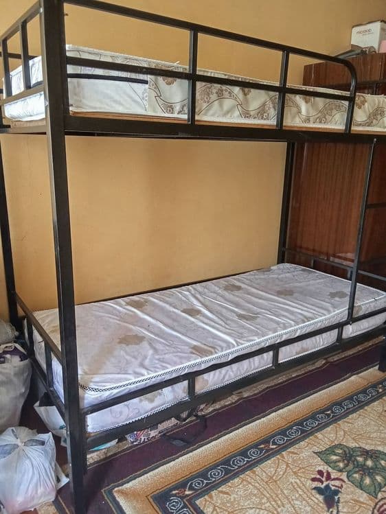 2 каватли крават — 1