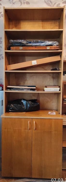 Книжный шкаф и цветок — 1