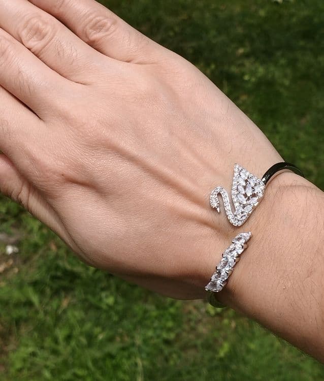 Swarovski "SWAN LAKE"!!! — 4